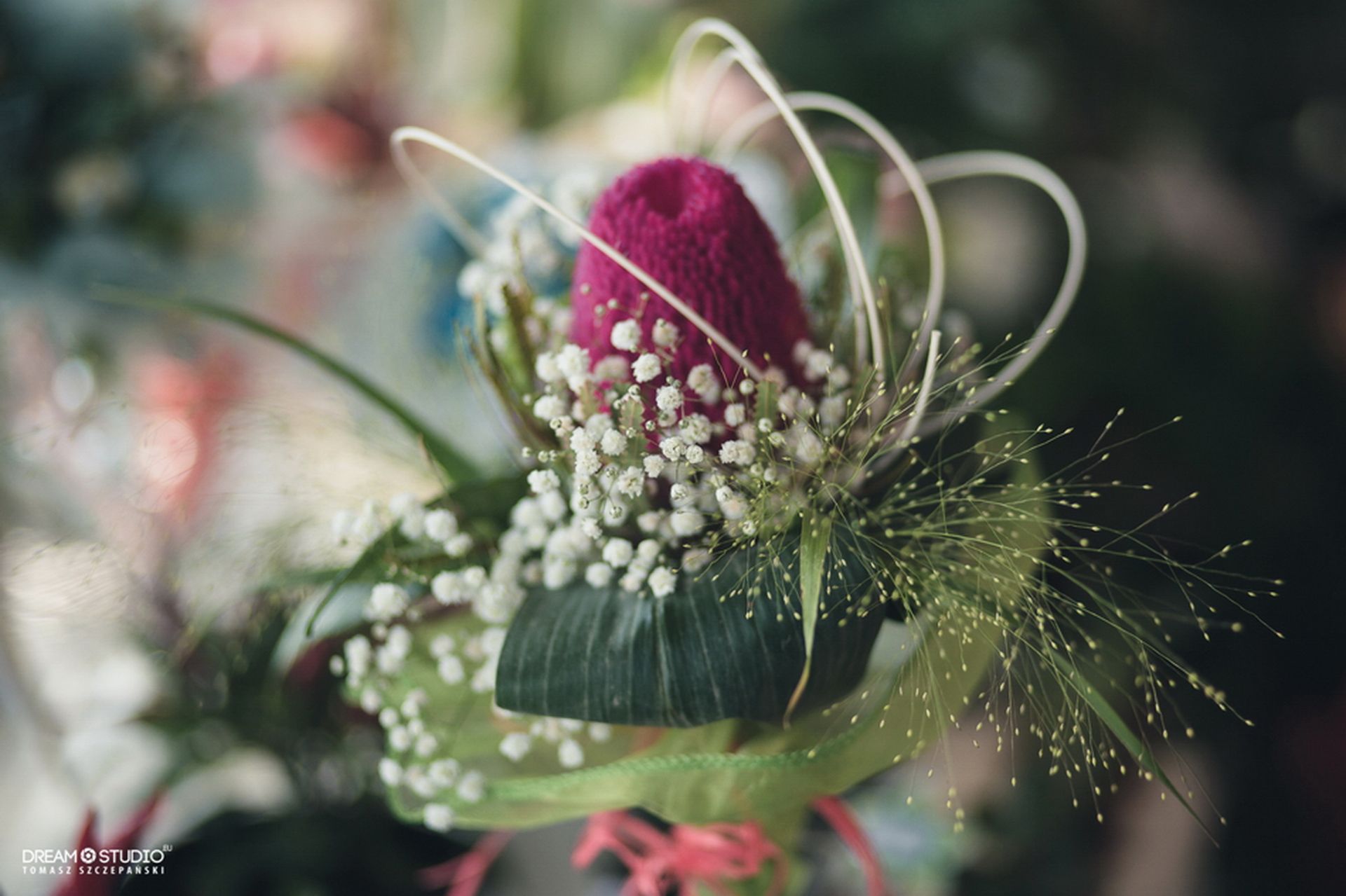 Kwiaciarnia Magnolia 26